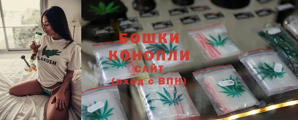 mdpv Протвино