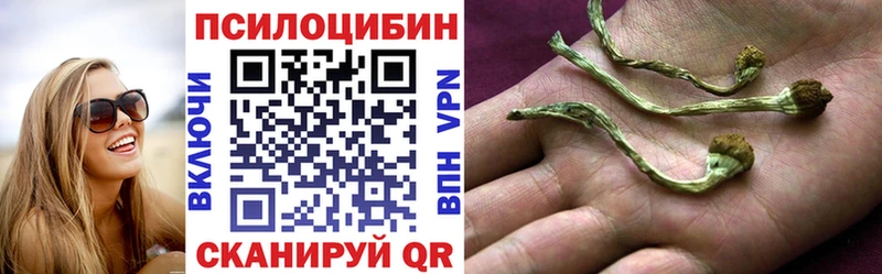 мега онион  хочу   Суоярви  Галлюциногенные грибы Psilocybe 