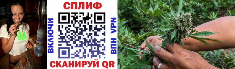 Конопля план  Суоярви 